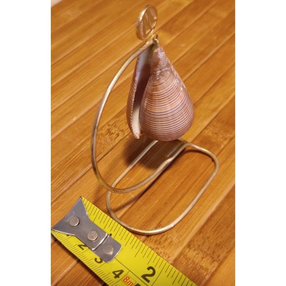 Brown Fig Cone Conus Figulinus Seashell Hanging Display Nautical Decor 3.5x3x1.5 - Picture 11 of 13